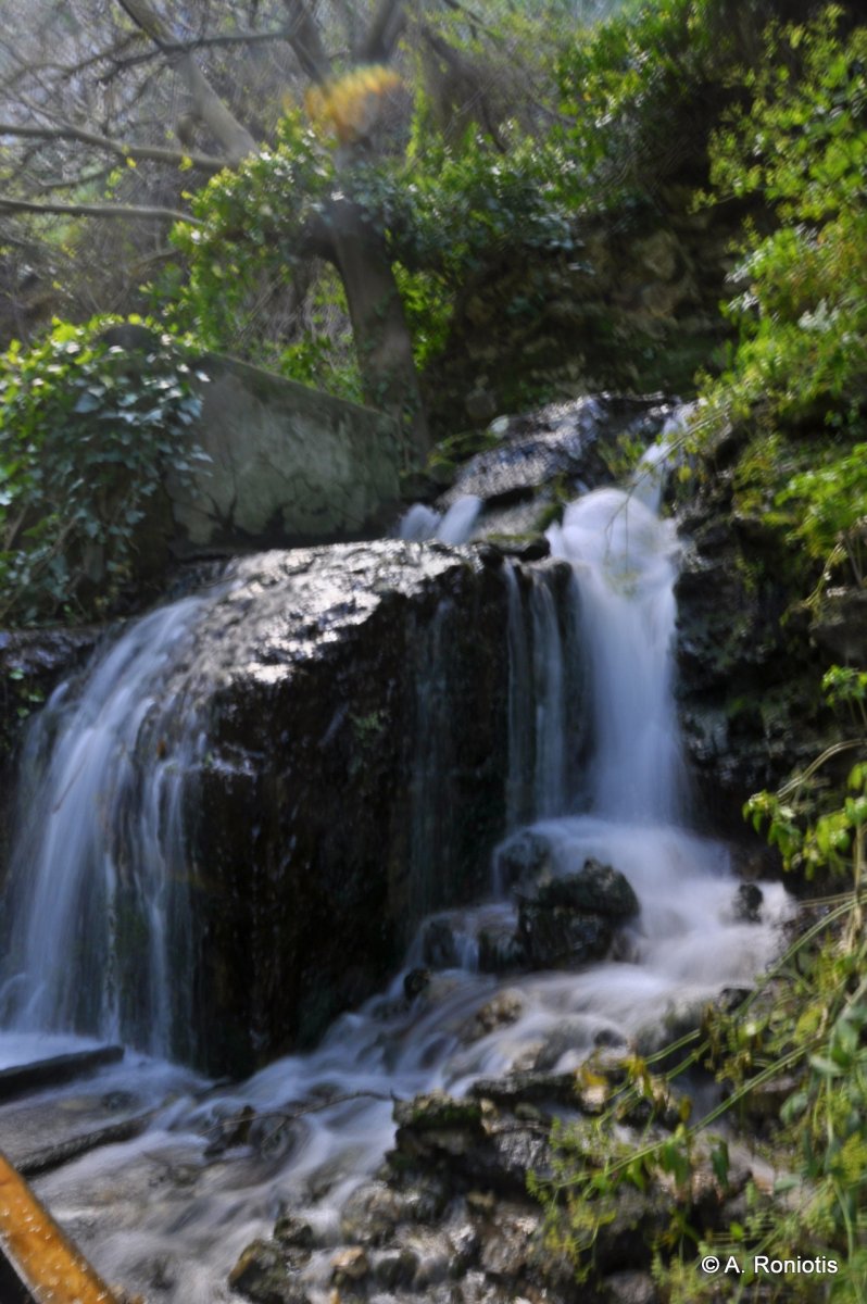 Water coming out from the cave.jpeg