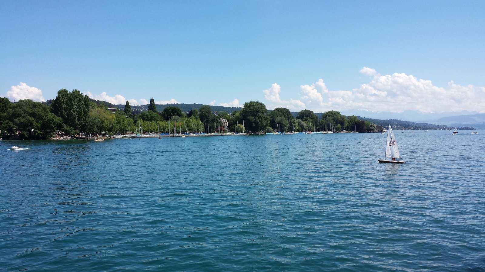 20140706_145241.jpg