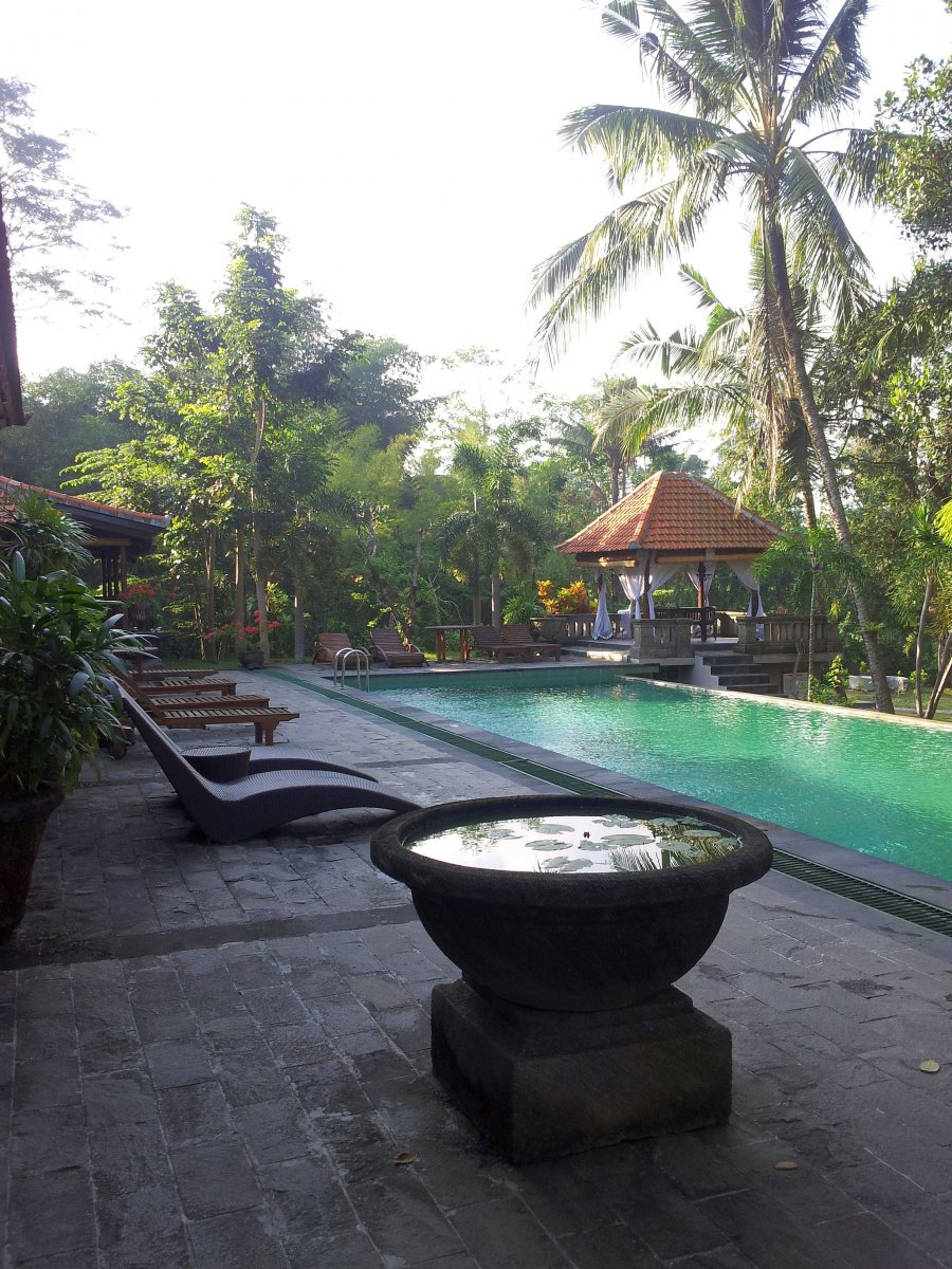 20120816_080931.jpg