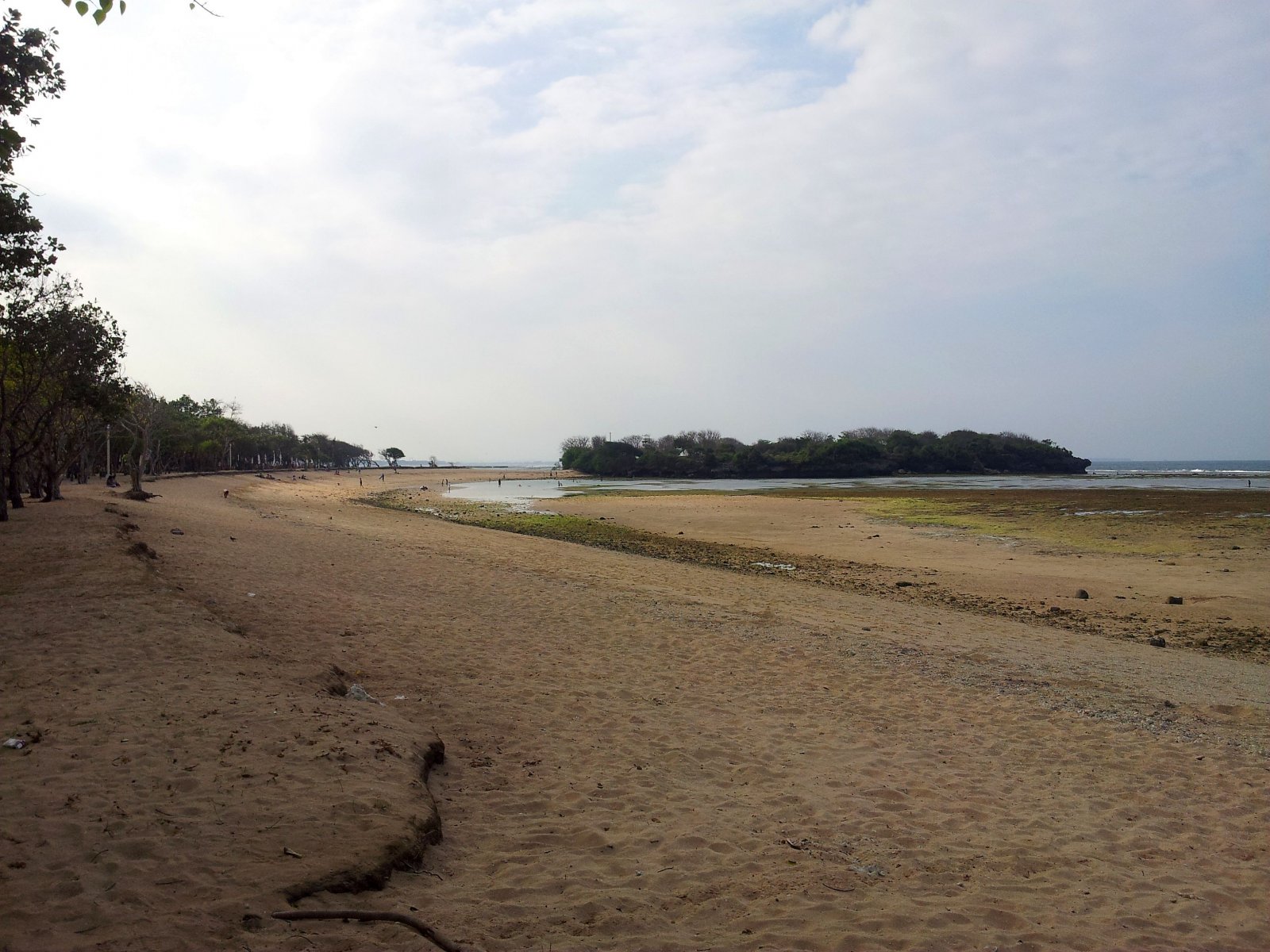 20120816_161511.jpg