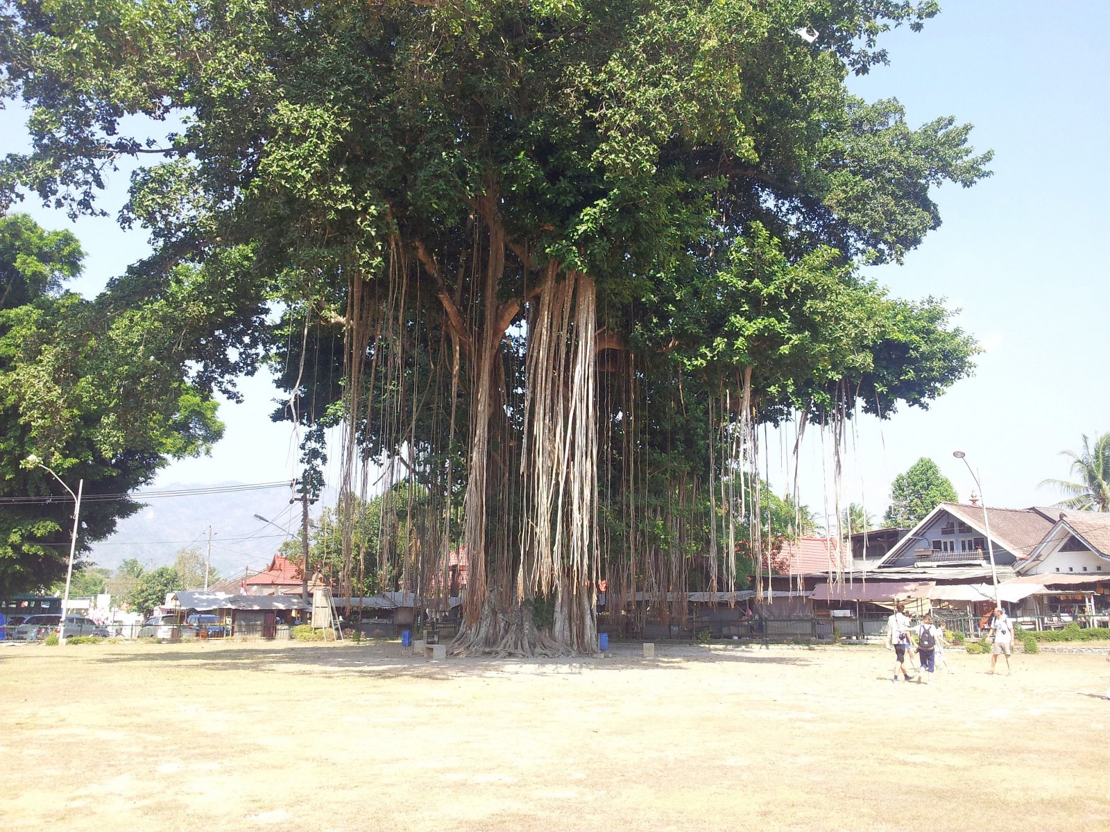 20120817_091515.jpg