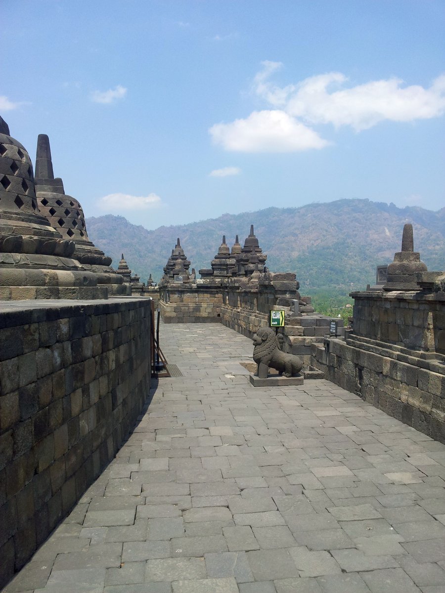 20120817_112314.jpg