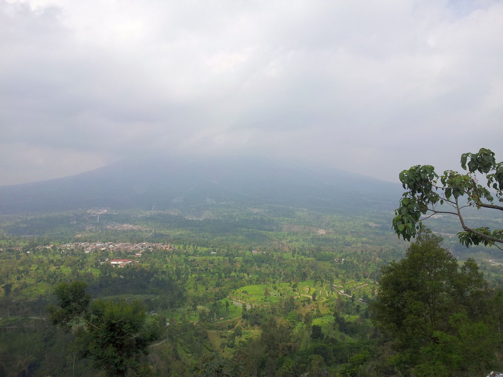 20120817_134137.jpg