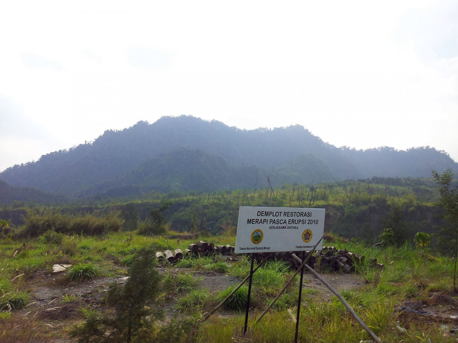 20120817_152218.jpg
