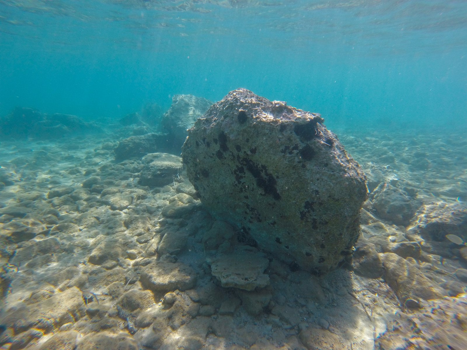GOPR2672.jpg