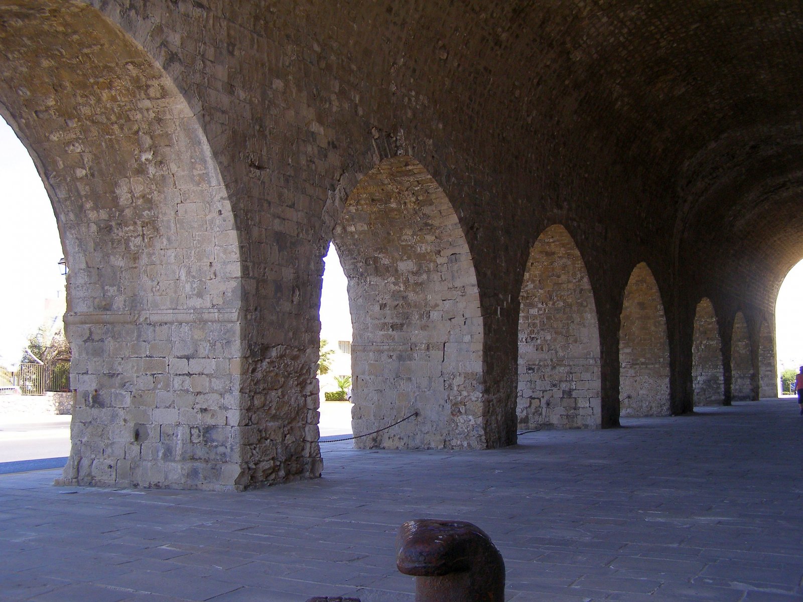 P8198941.jpg