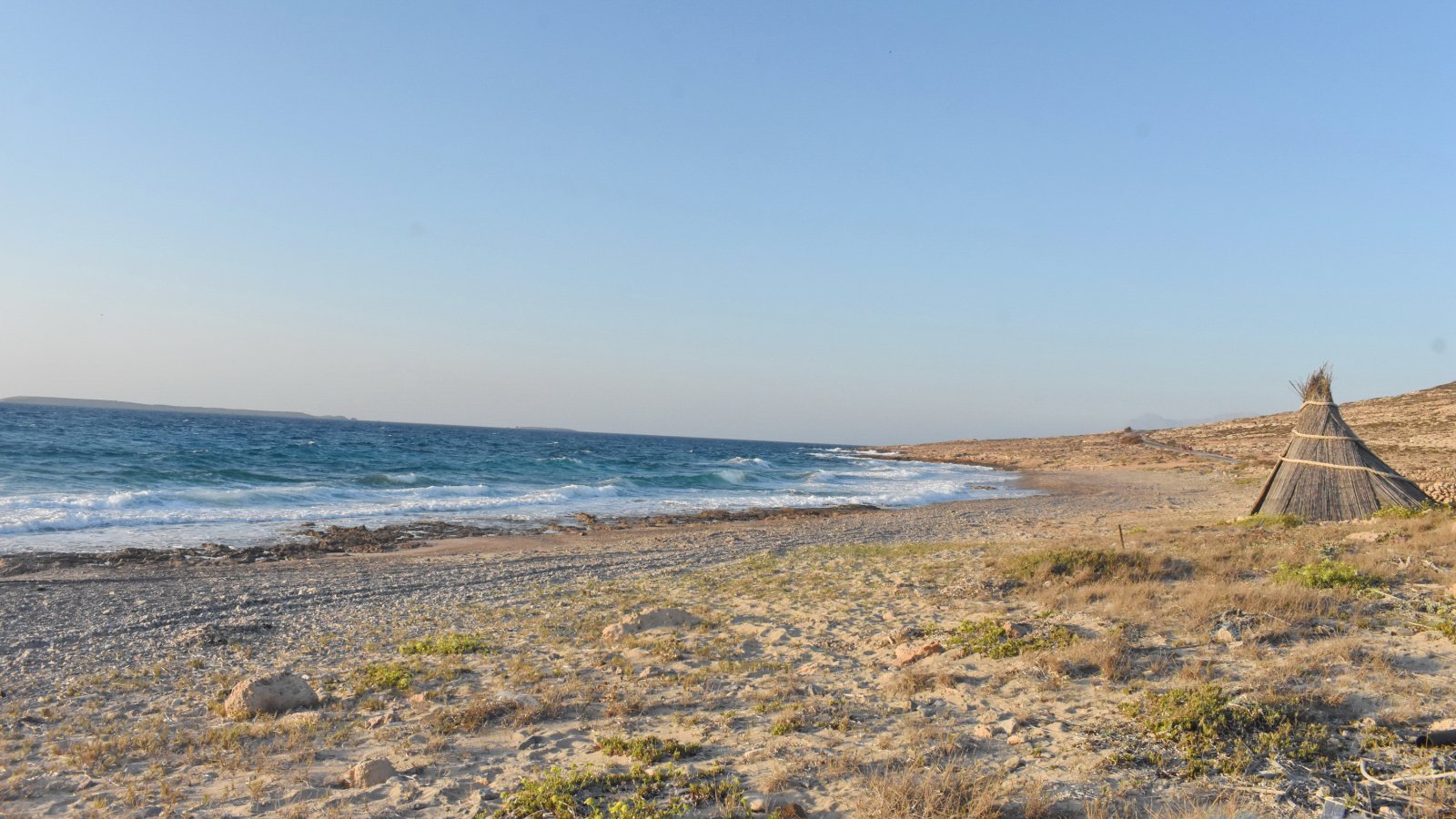 DSC_7893.JPG