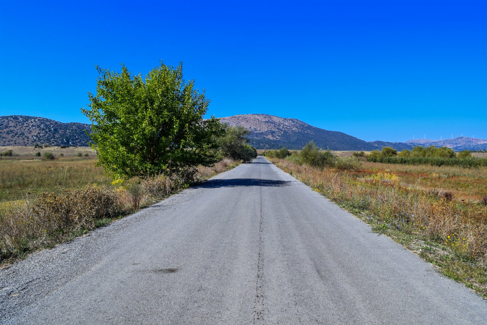 Λίμνη Τάκα (4).jpg