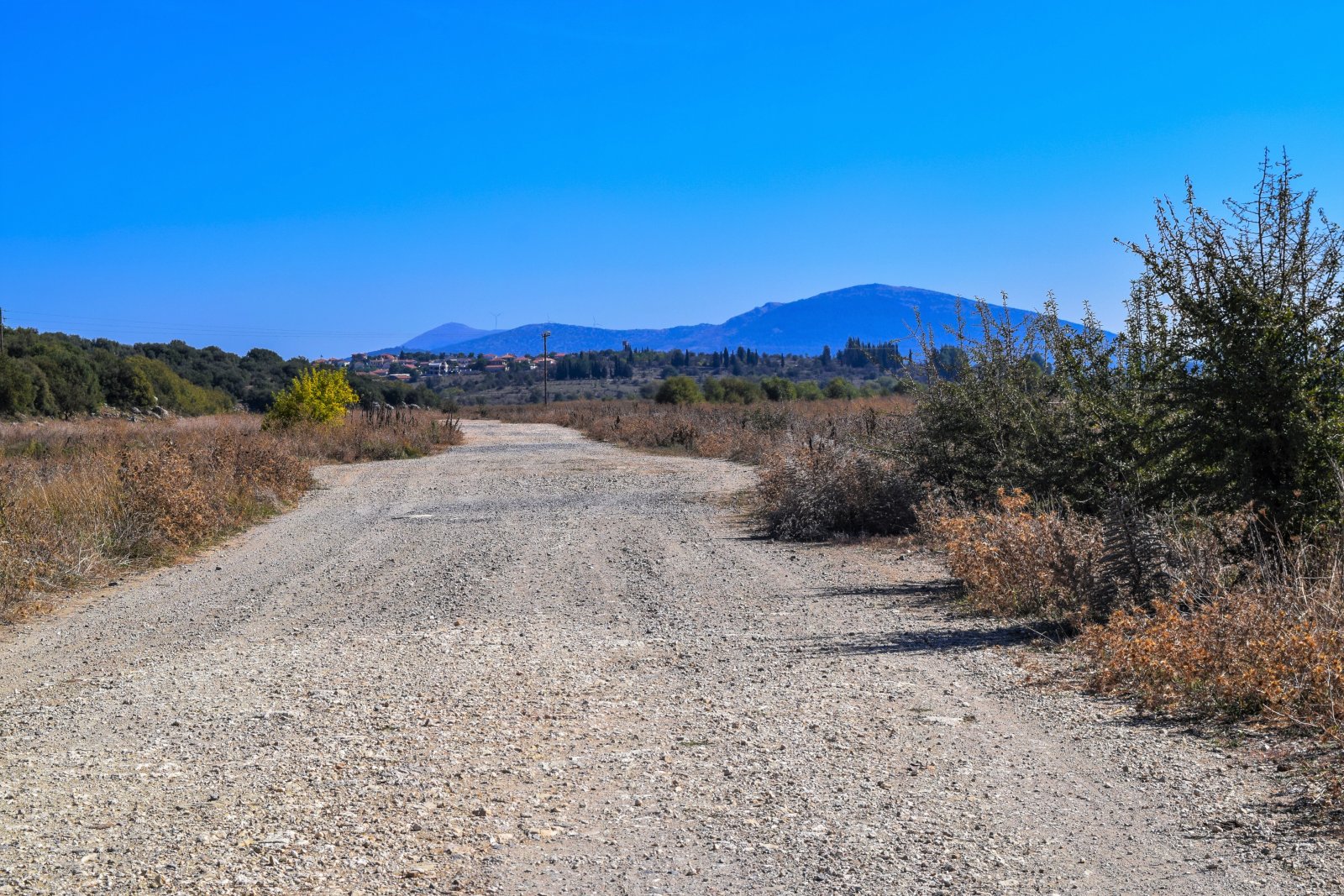 Λίμνη Τάκα (10).jpg