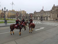 IMG_20210822_111002.jpg