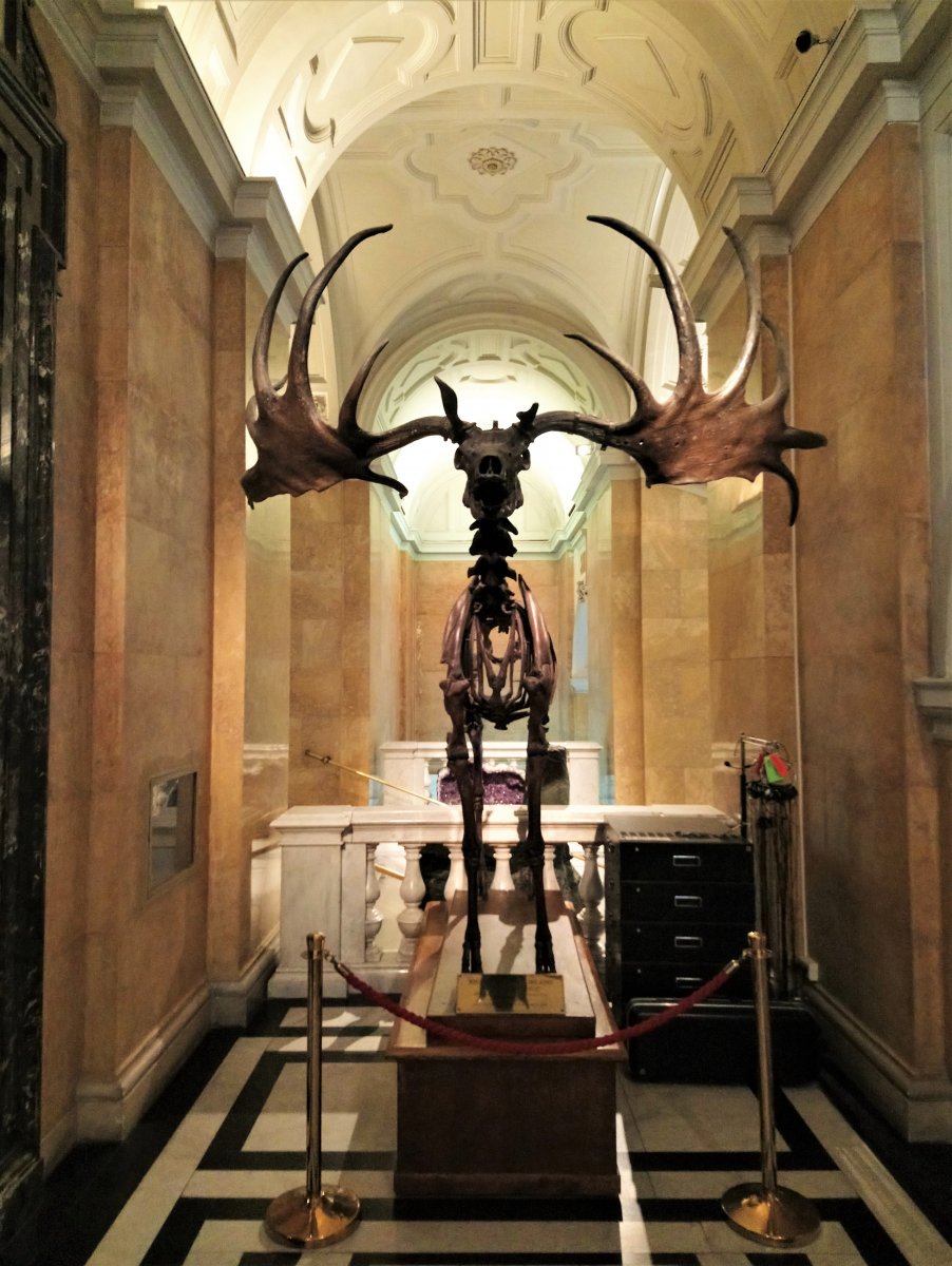 Vienna - Natural History Museum 07.JPG