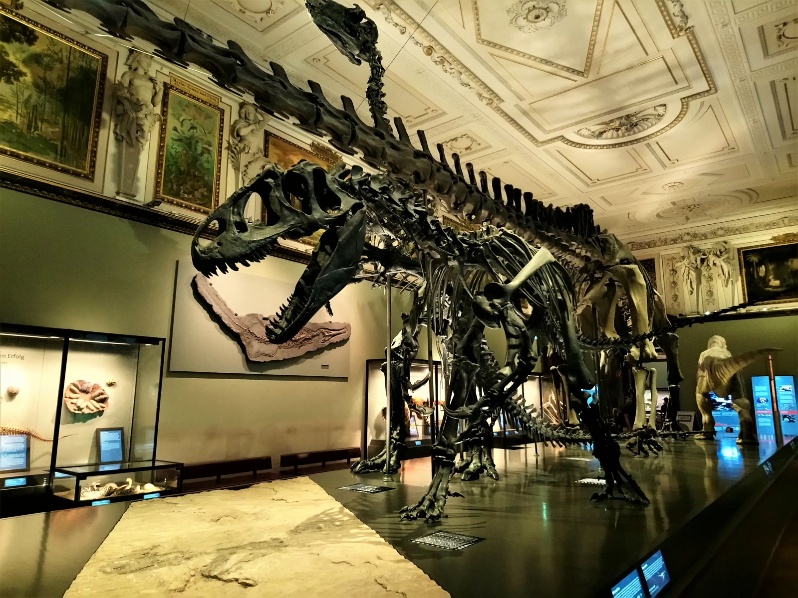 Vienna - Natural History Museum 19.JPG