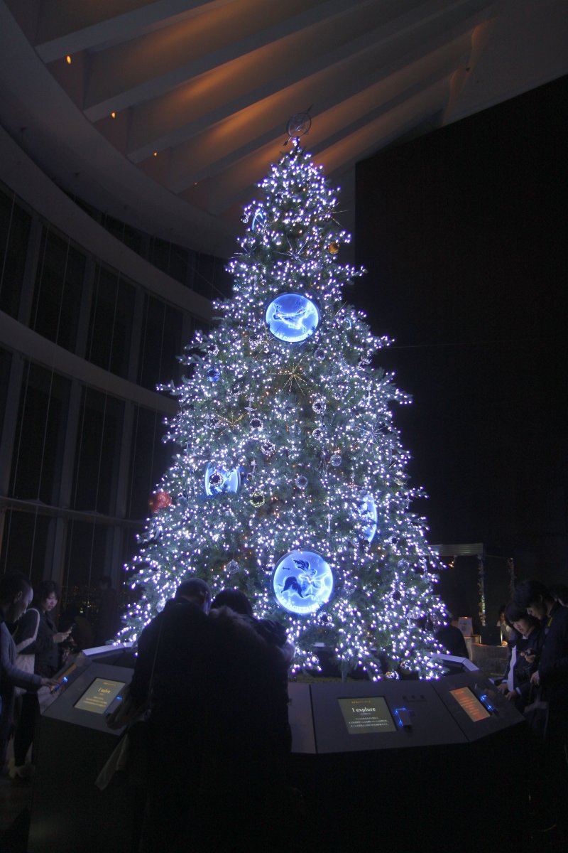 IMG_7633.jpg