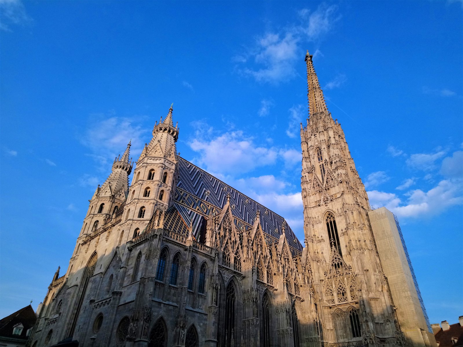 Vienna - Stephansdom 01.JPG