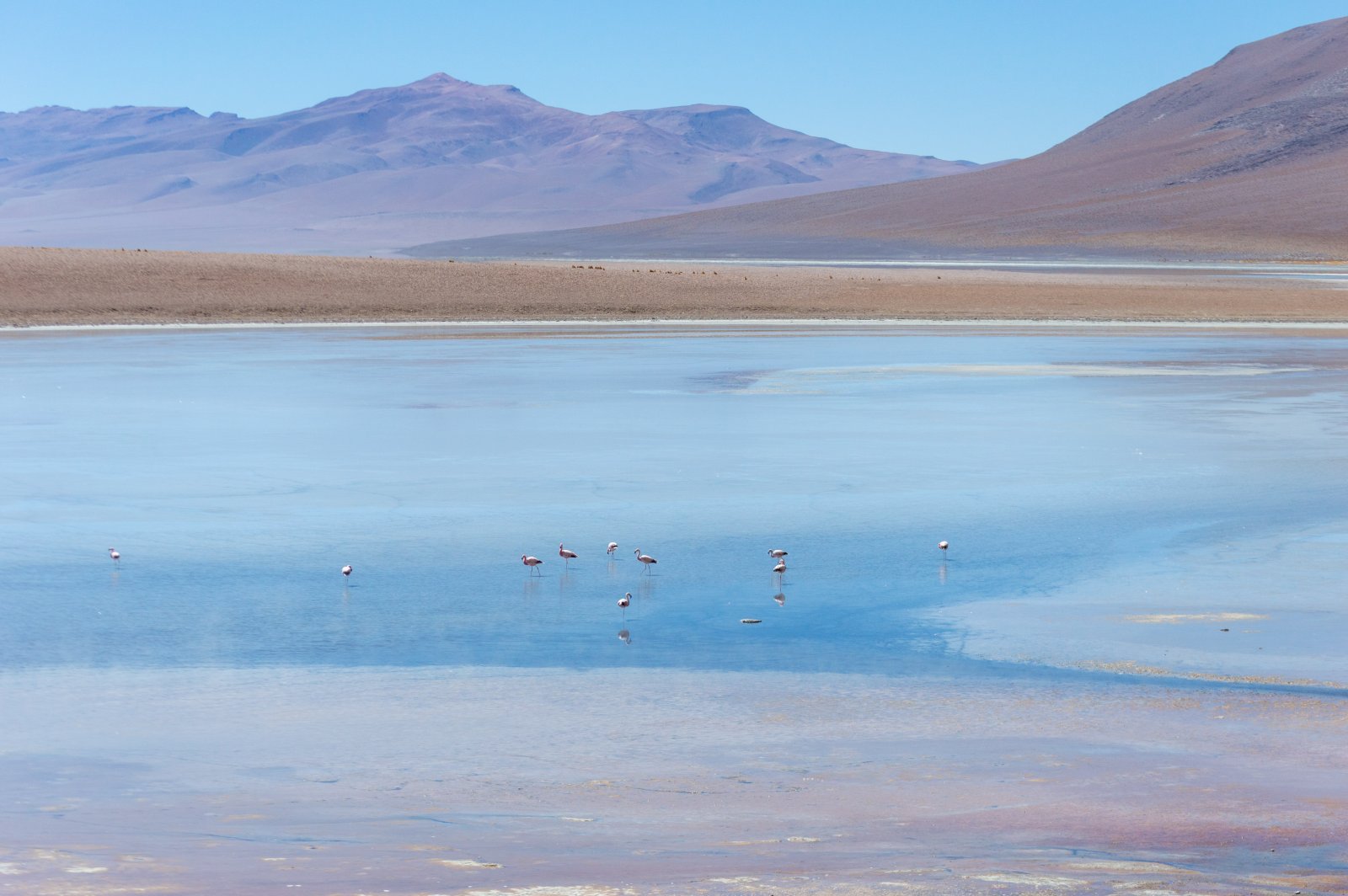 DSC_0795.jpg