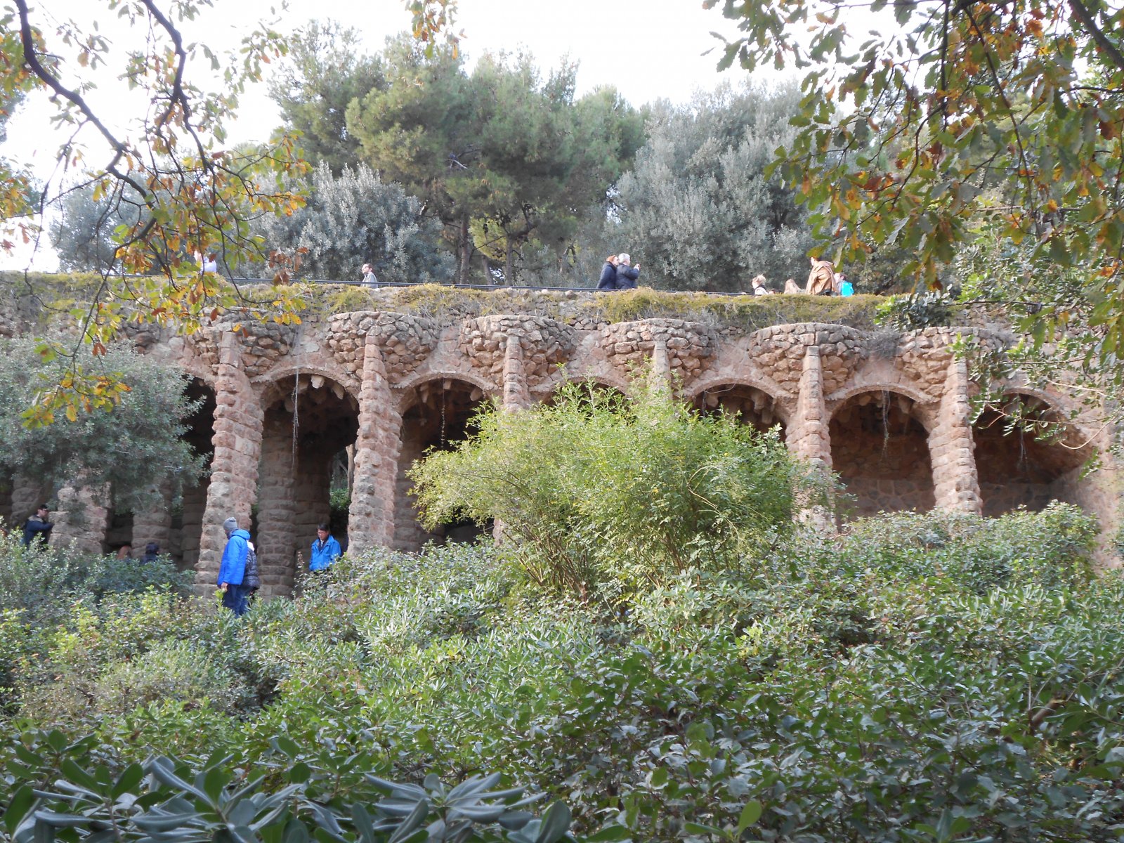 DSCN0597.JPG