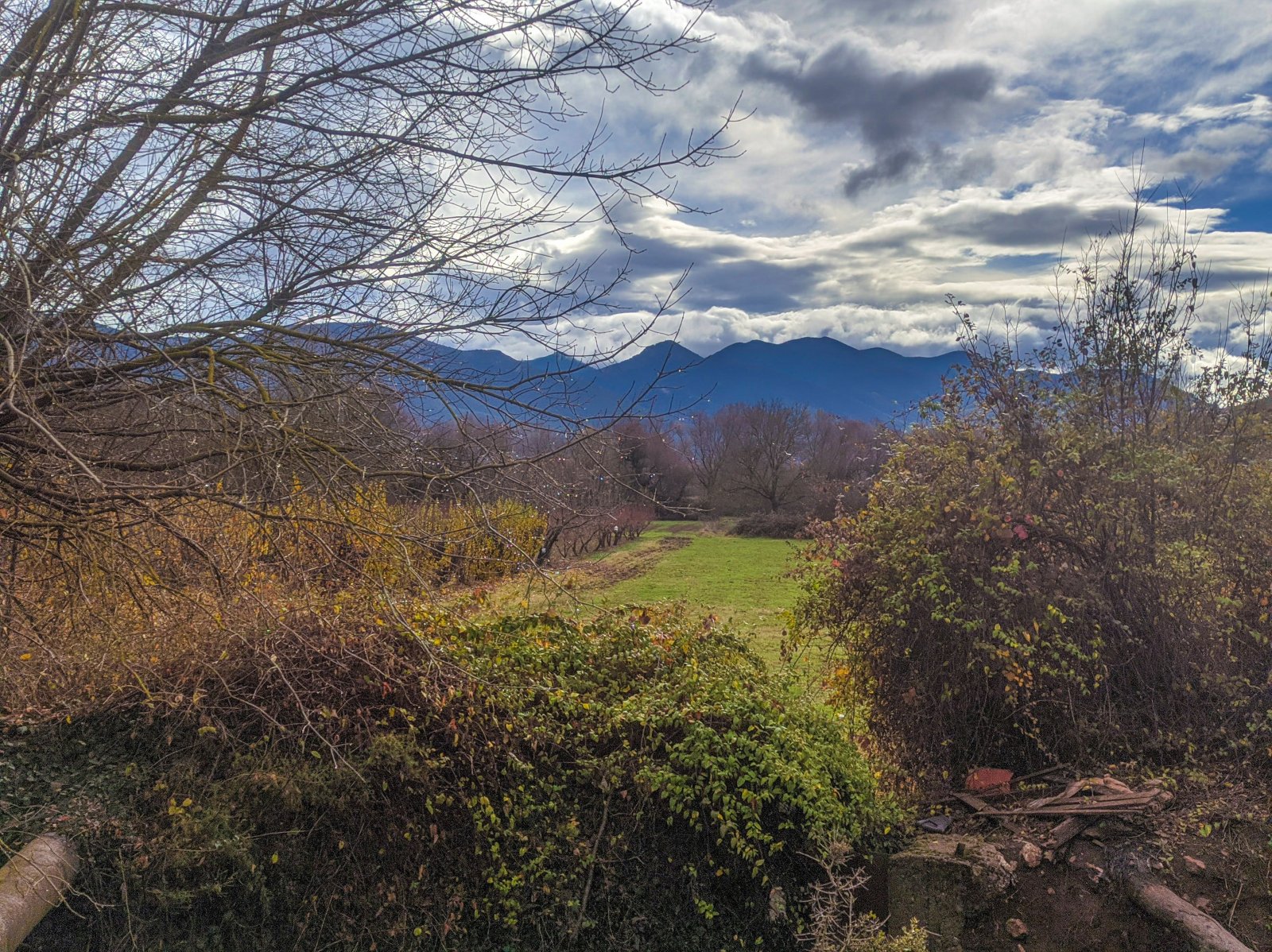 IMG_20201214_121645.jpg