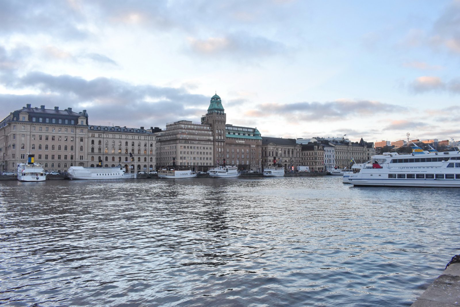 DSC_1936.JPG