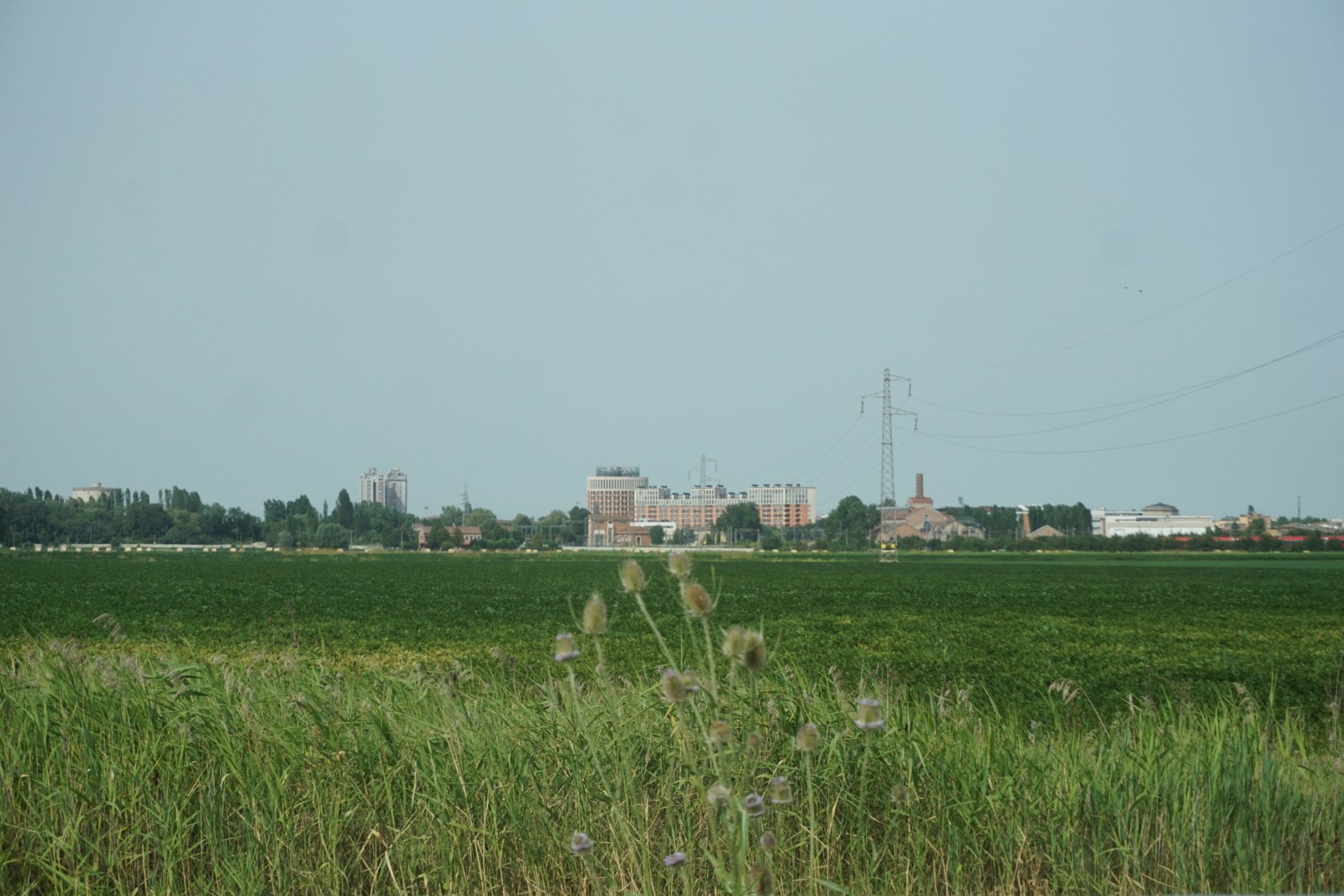 104.JPG