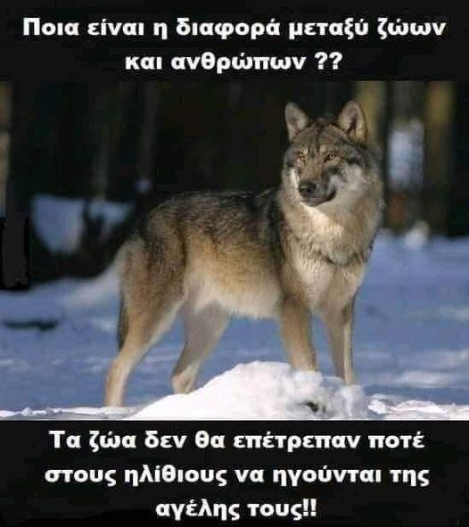 ert.jpg
