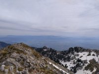 IMG_20220416_121031.jpg