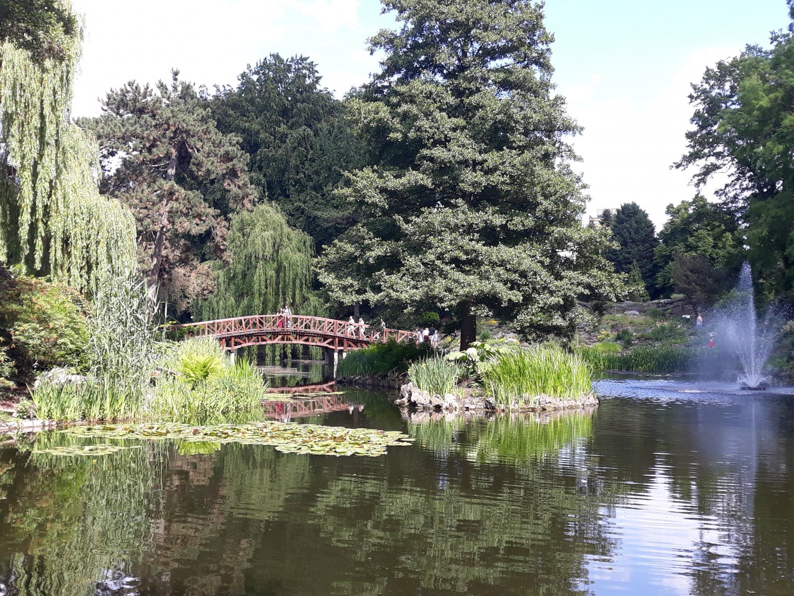 20220611_151259.jpg