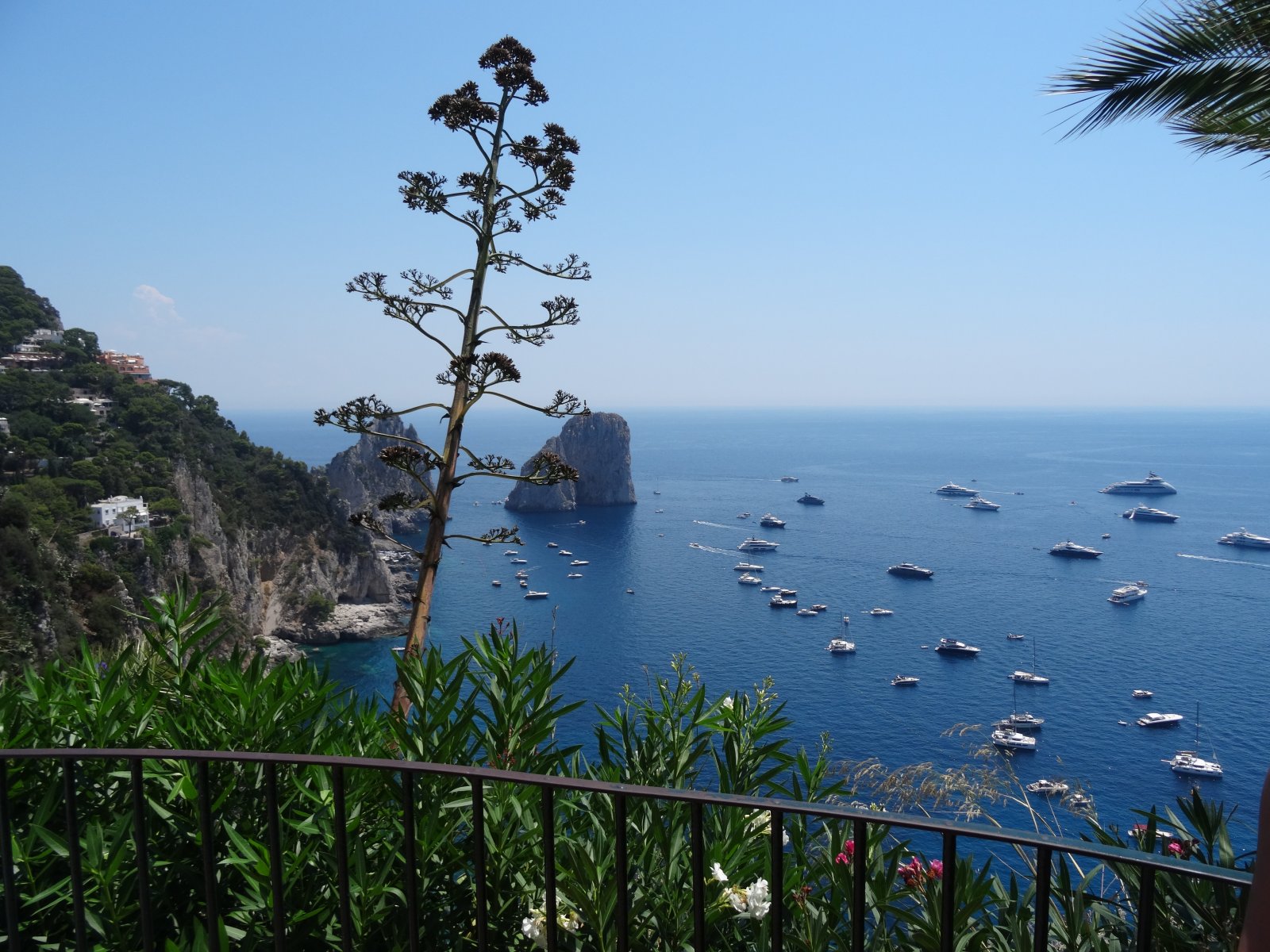 20.Capri.JPG