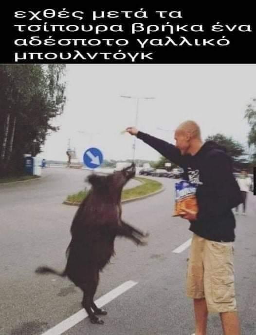 κξκξξηγ.jpg