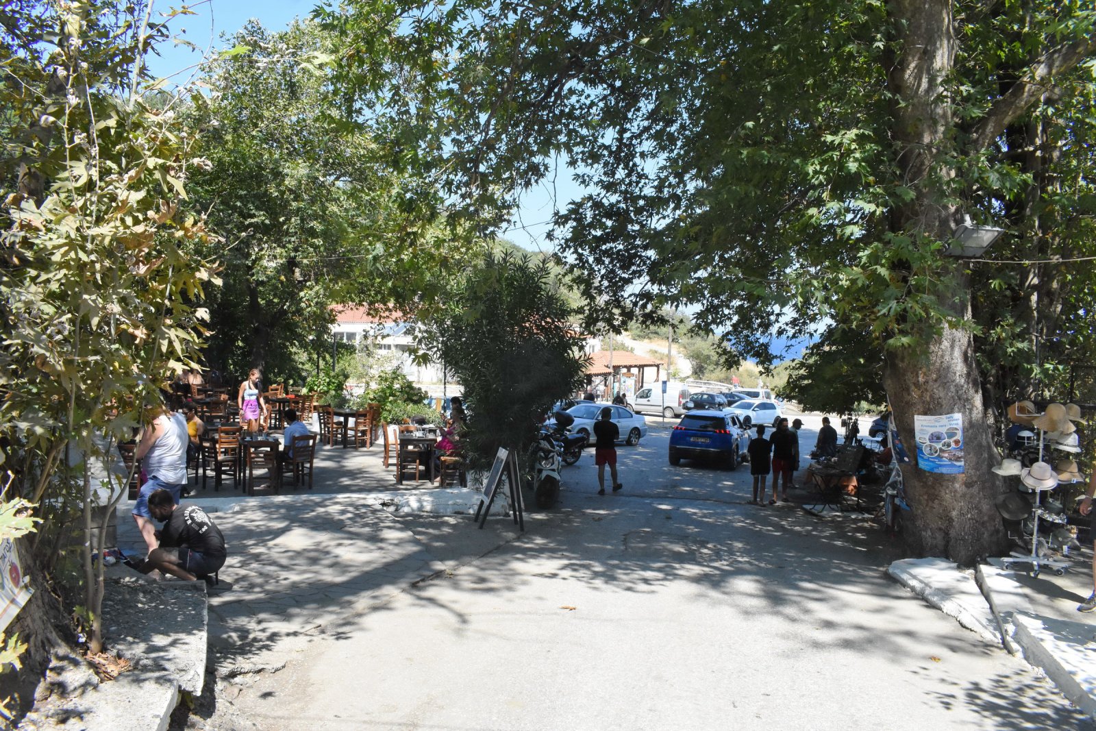 DSC_6717.JPG