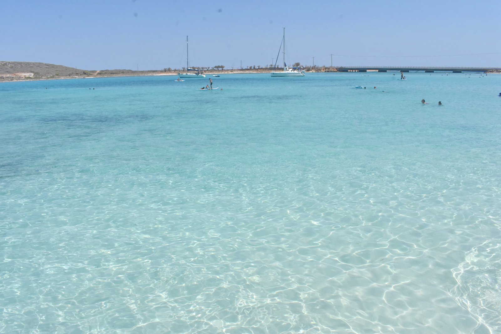 DSC_7717.JPG