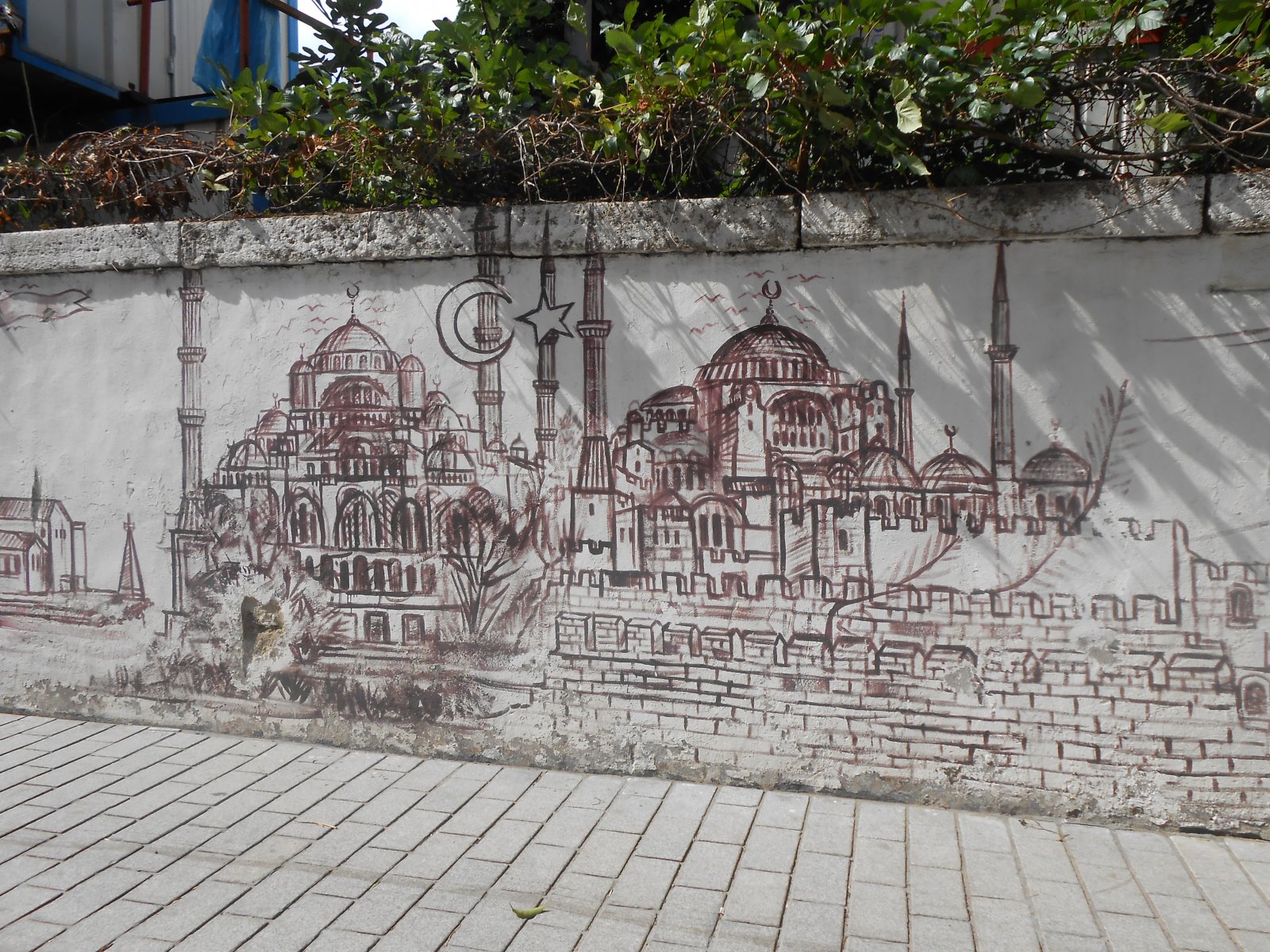 DSCN1045.JPG