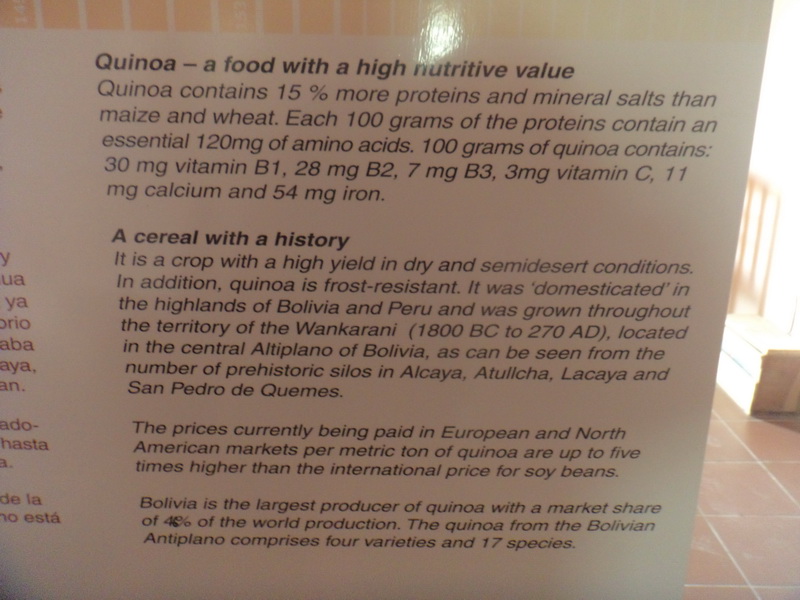 DSC04644_resize.JPG