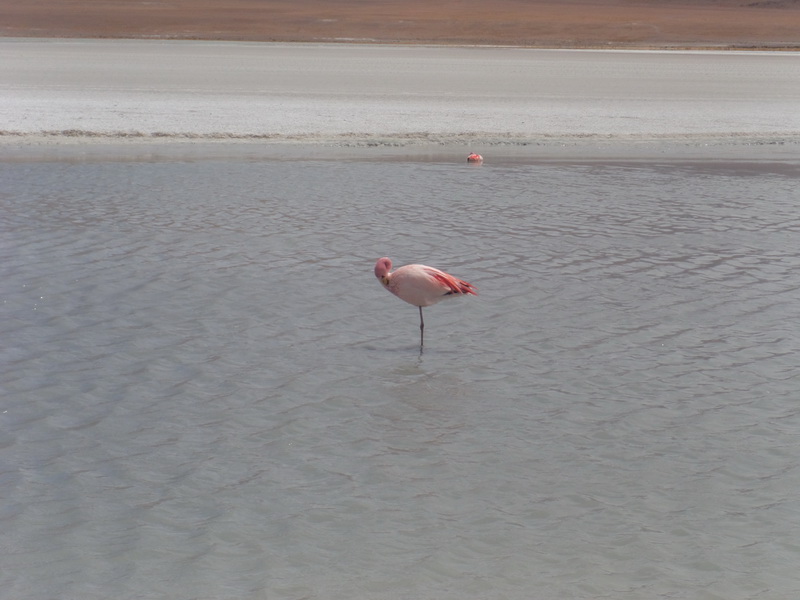DSC04766_resize.JPG