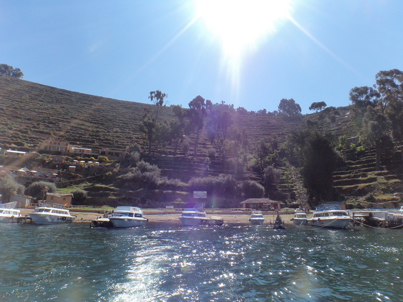 DSC05888_resize.JPG