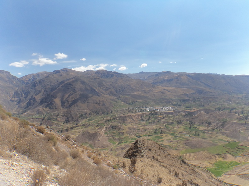 DSC06313_resize.JPG
