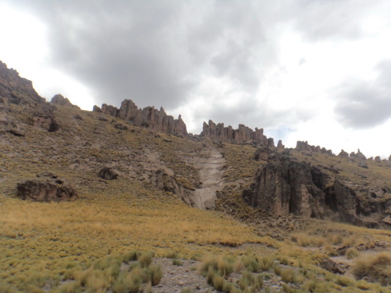 DSC06414_resize.JPG