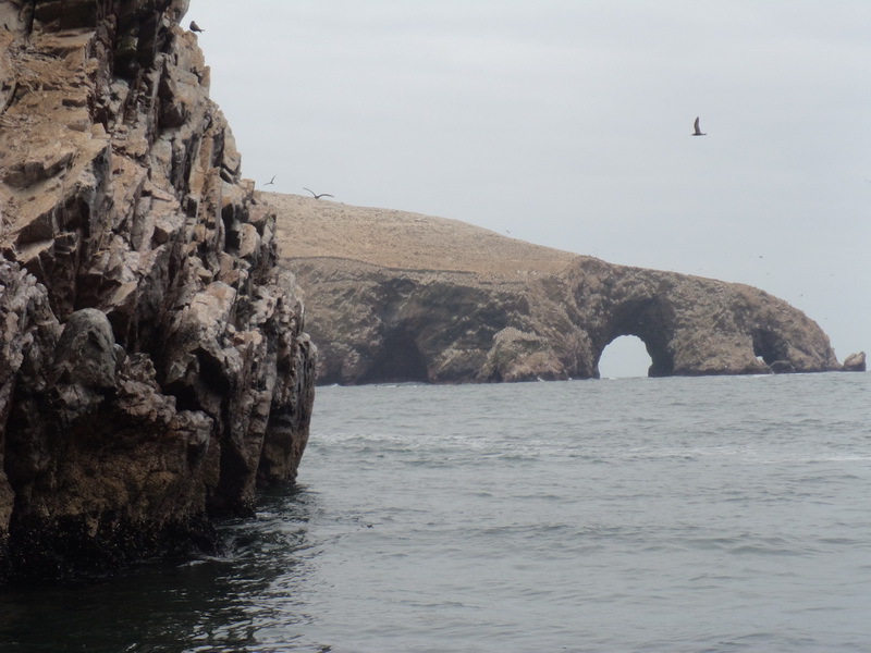 DSC07218_resize.JPG