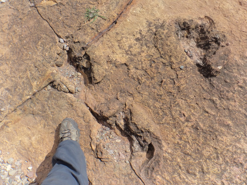 DSC07788_resize.JPG