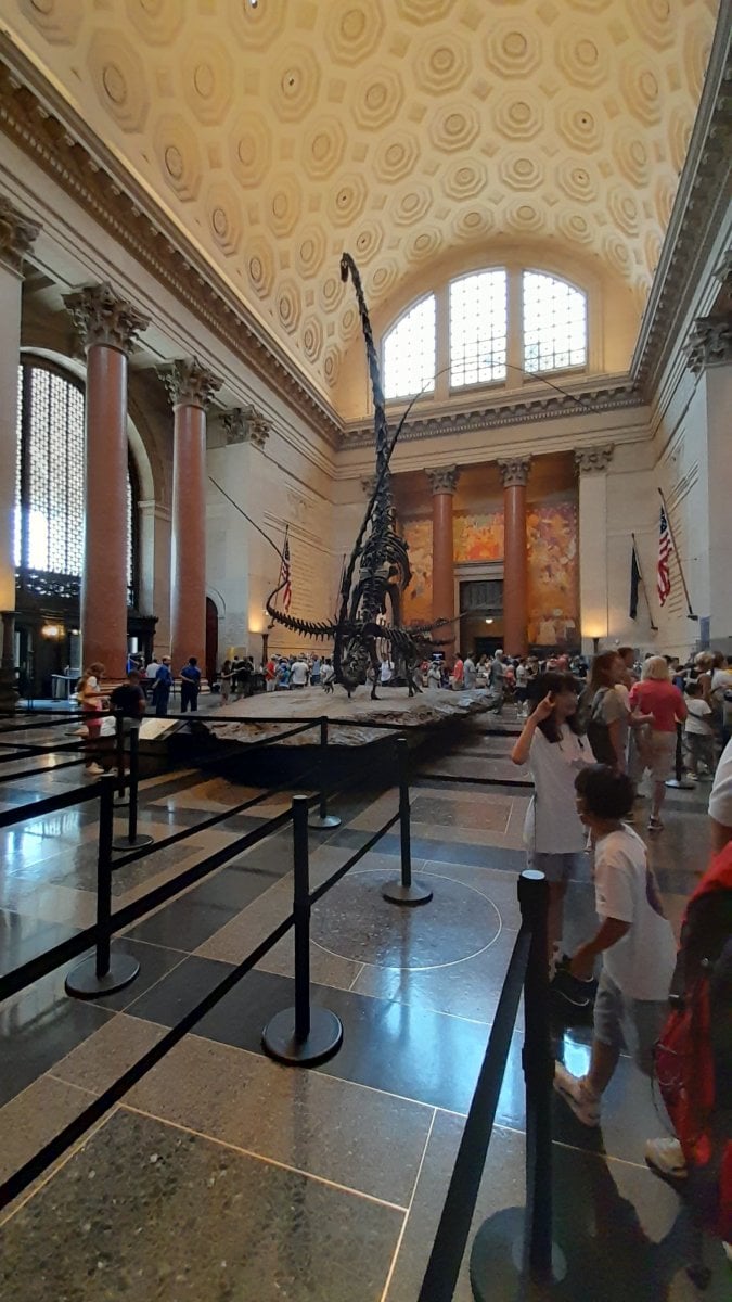 amnh2.jpg