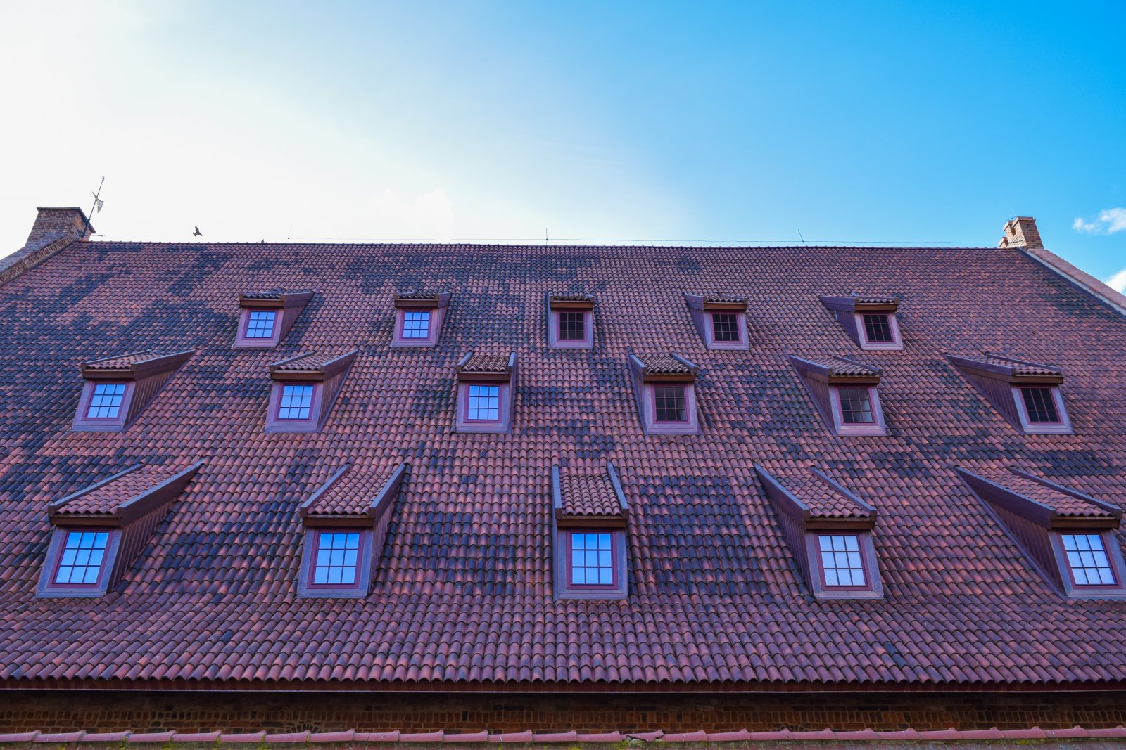 Amber Museum (23).jpg