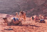 Wadi Rum (22).jpg