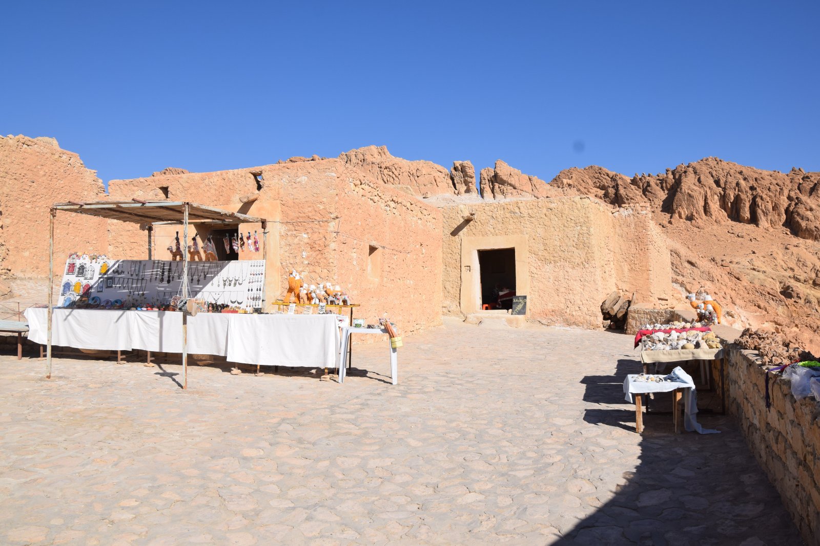 DSC_0521.JPG