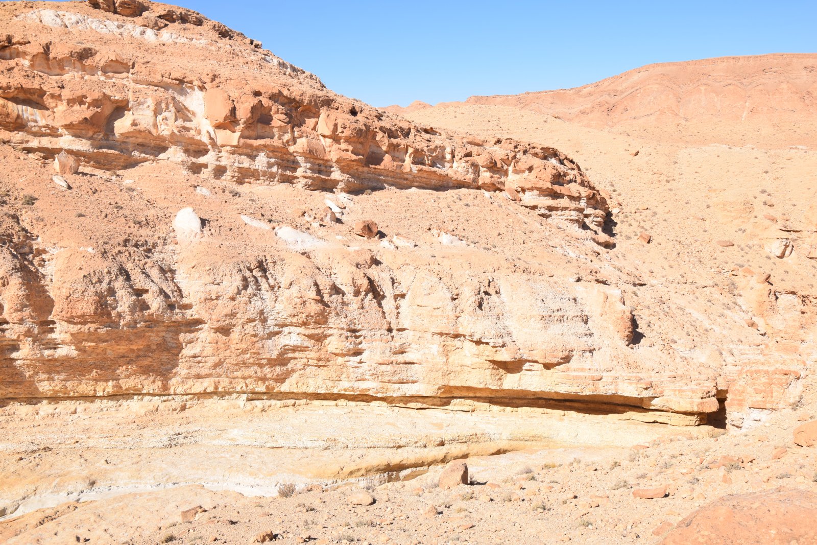 DSC_0690.JPG