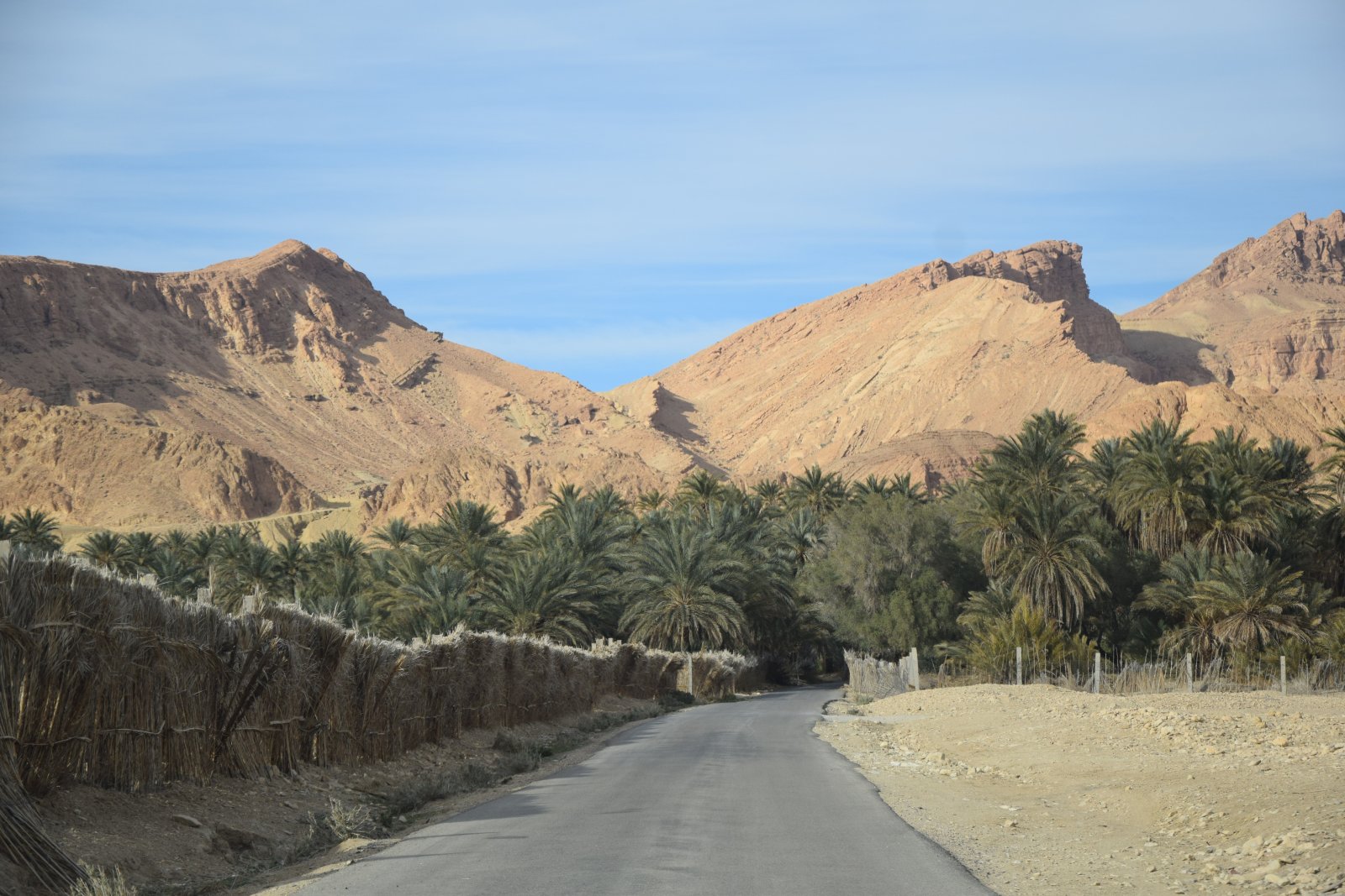DSC_0895.JPG