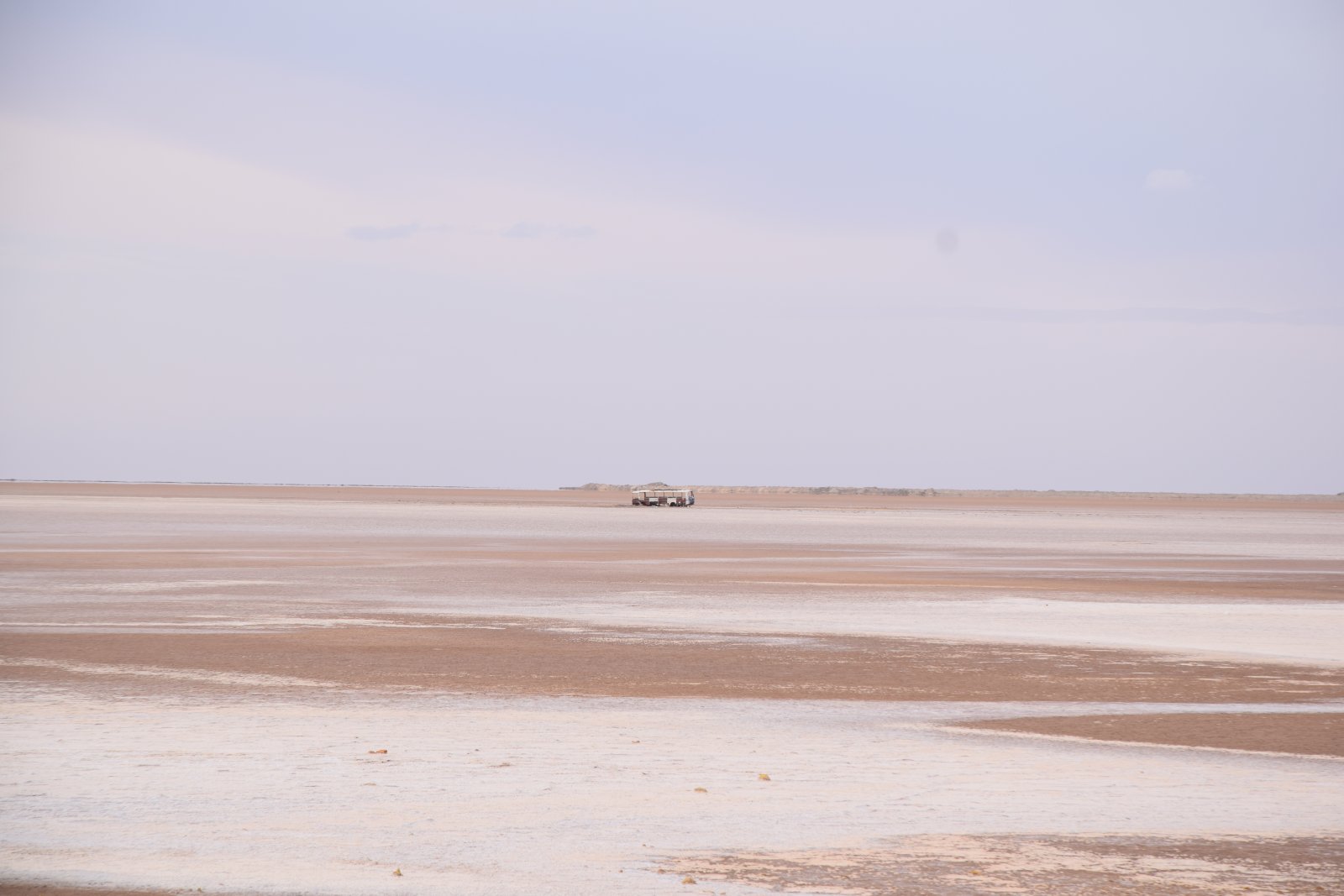 DSC_0132.JPG