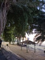 IMG_20221128_180219.jpg
