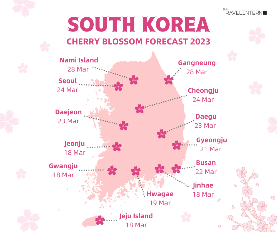 Korea-Cherry-Blossom-Forecast-2023.png