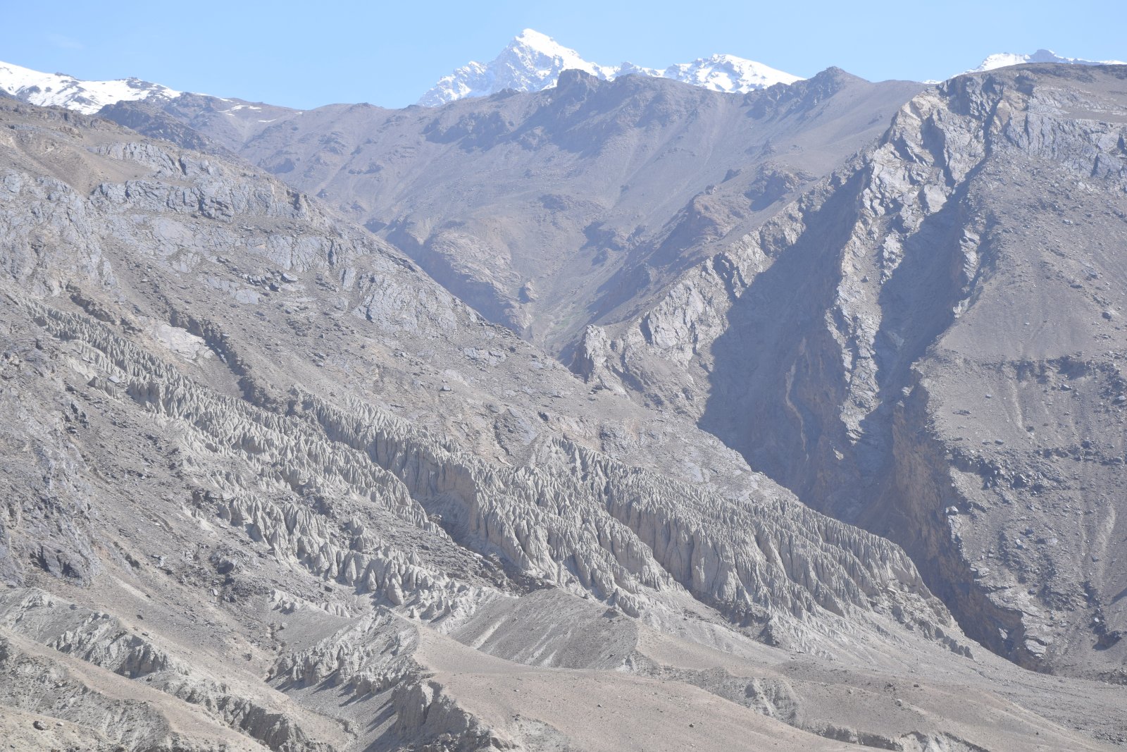 DSC_0631.JPG