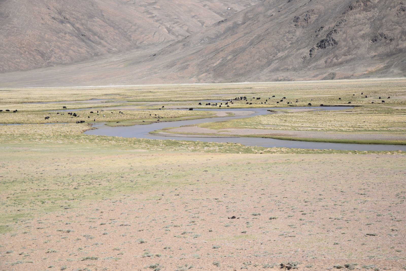 DSC_0004.JPG