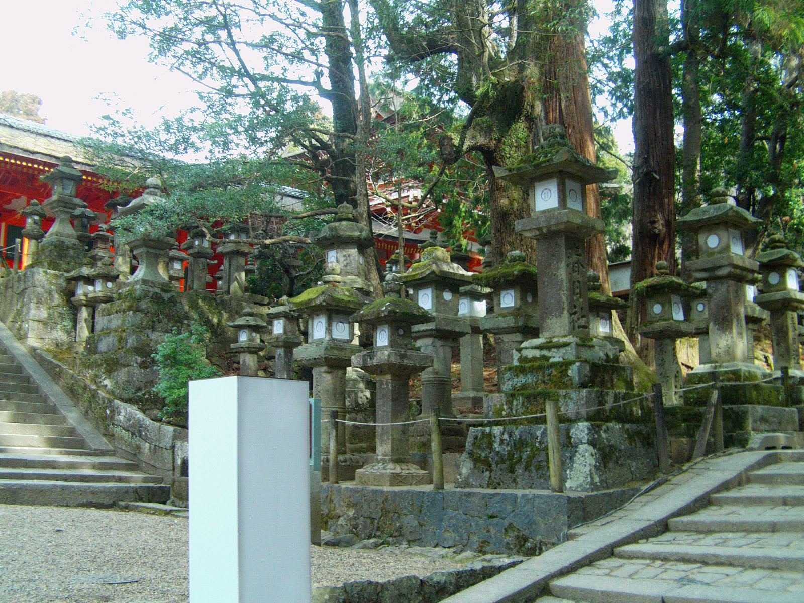 IMAG0296.JPG
